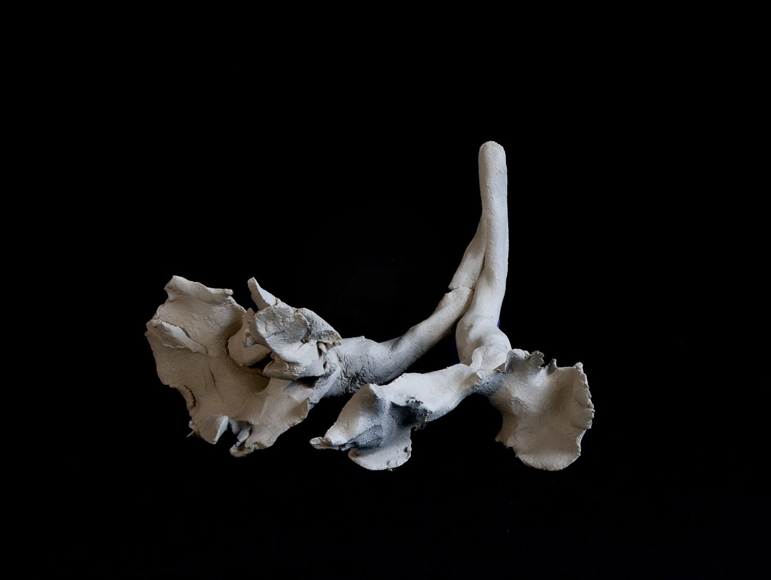 Photo by Alina Brovina