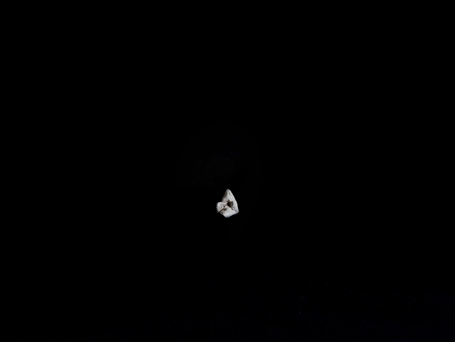 Photo by Alina Brovina