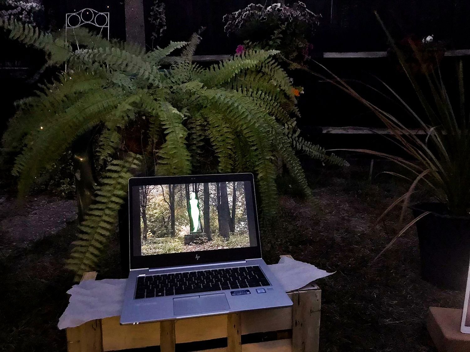 Hidden Garden's first exhibition "Glow of (im)possible", private garden, London, UK, 5 June 2020
Photo by Ksenia Kasko
