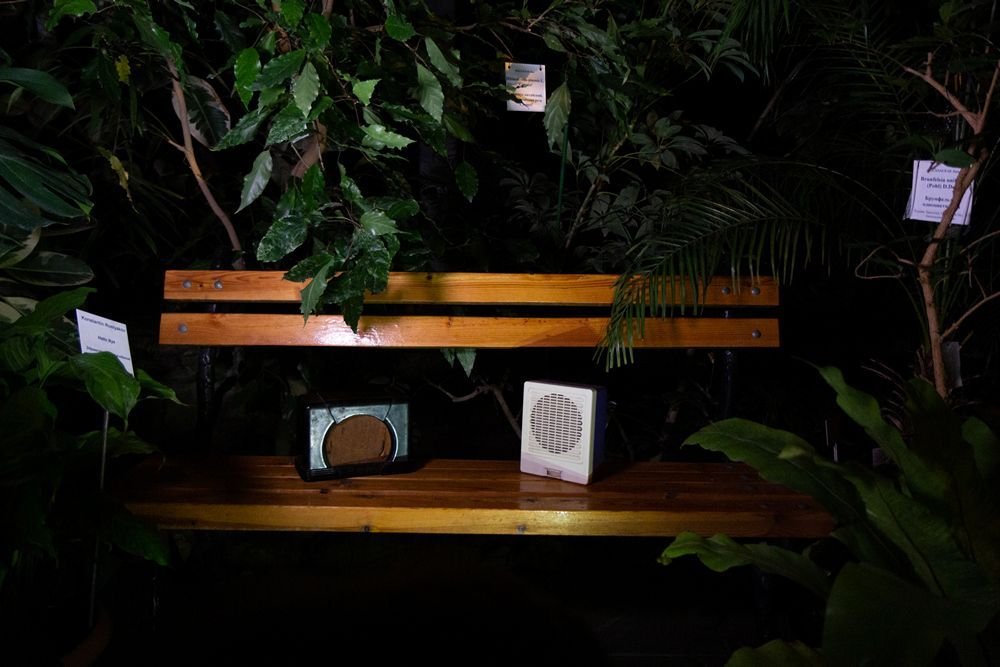 Hidden Garden's second exhibition: "Everyday episodes", Botanical Garden of the Samara University. Photo by Kristina Syrchikova