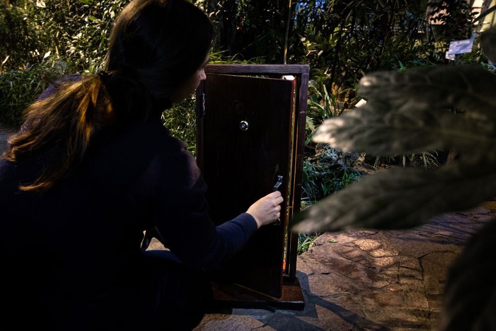 Hidden Garden's second exhibition: "Everyday episodes", Botanical Garden of the Samara University. Photo by Kristina Syrchikova