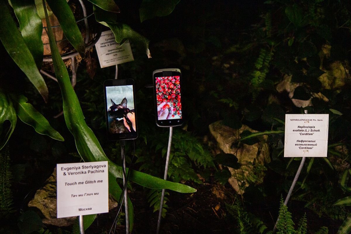 Hidden Garden's second exhibition: "Everyday episodes", Botanical Garden of the Samara University. Photo by Kristina Syrchikova