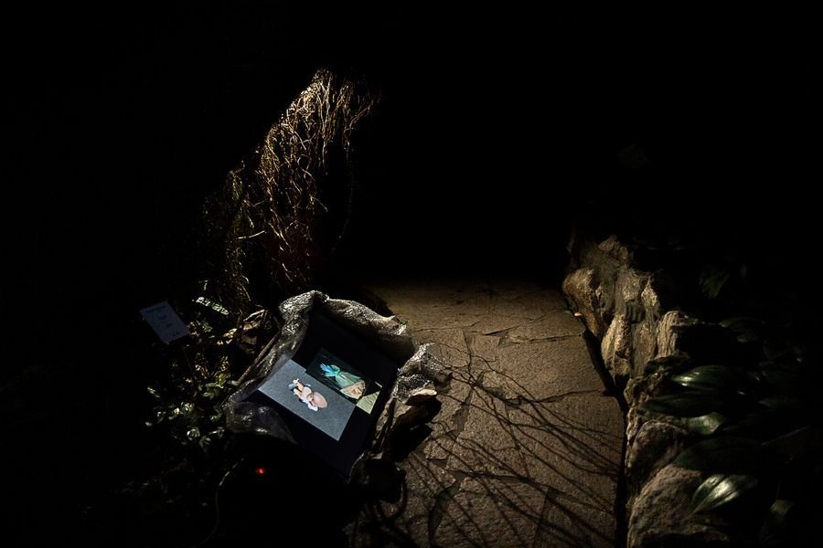 Photo by Kristina Syrchikova