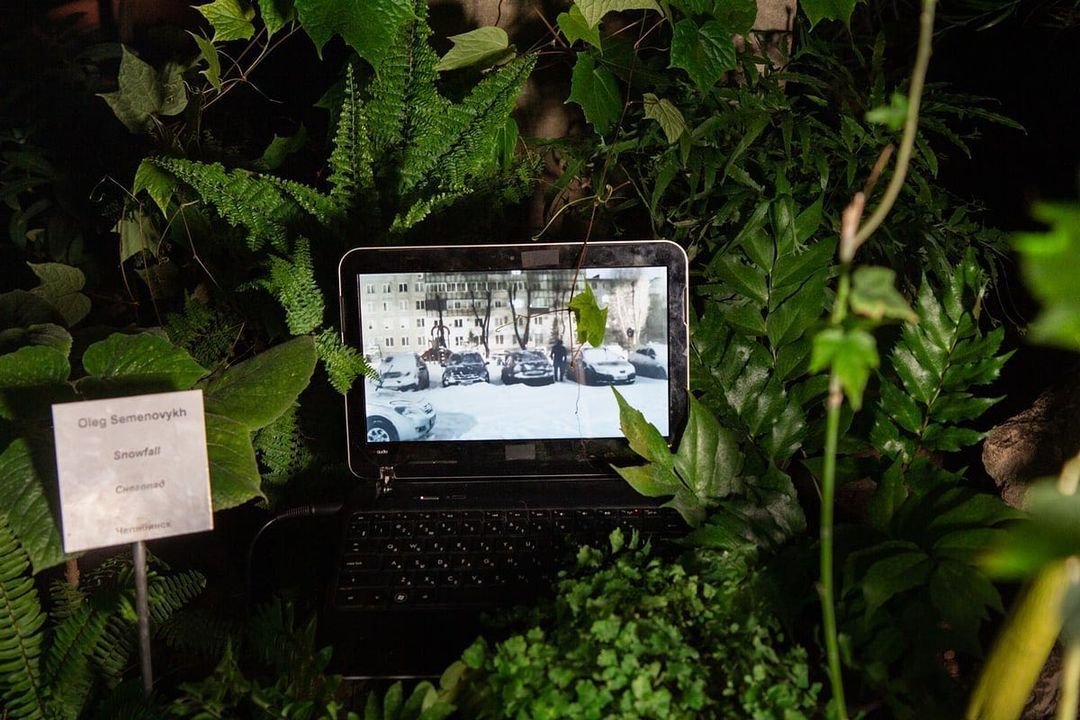 Photo by Kristina Syrchikova