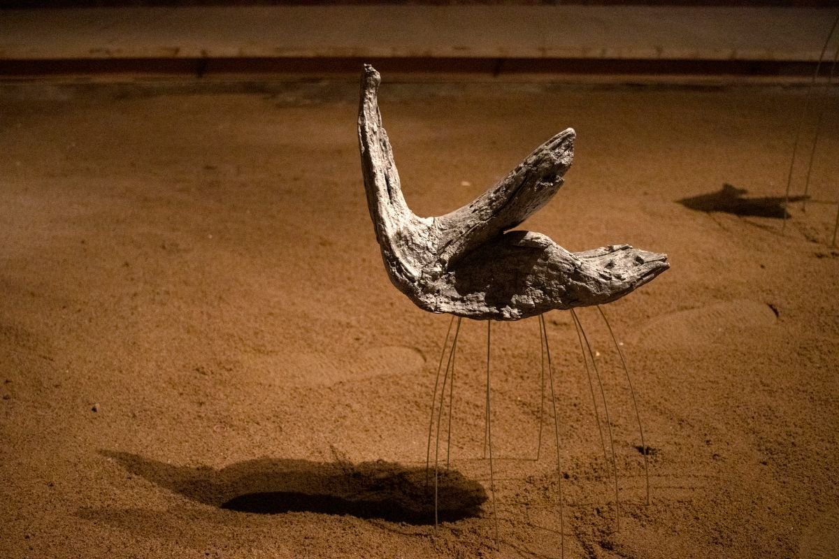 Автор фотографии: Кристина Сырчикова